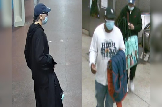 Chicago Mass Transit Theft: CPD Seeks Public's Help to Identify Suspects