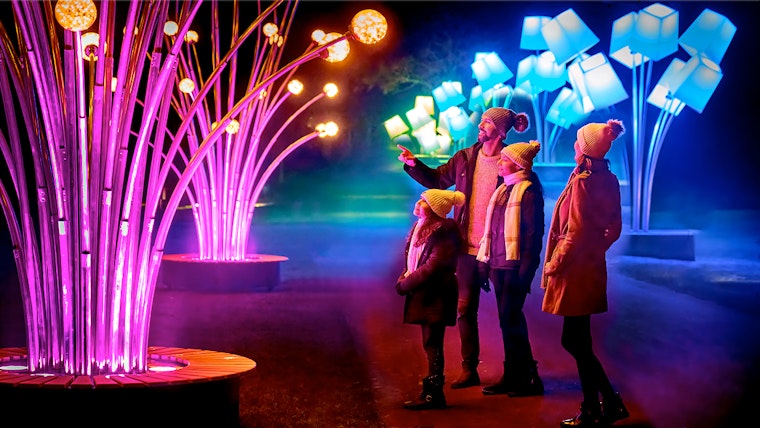 Chicago Gears Up for Festive Season with Holiday Events and Attractions