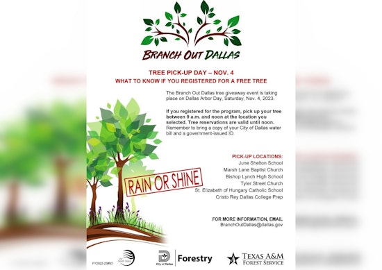 Dallas Residents Branch Out with 2,600 Free Trees for Arbor Day Celebration