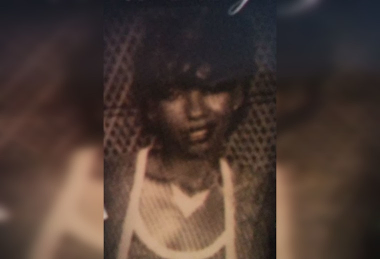 Decades-Old Chicago Mystery Thawed, Help Sought in Sylvia McElroy's 1987 Disappearance