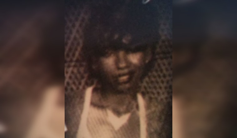 Decades-Old Chicago Mystery Thawed, Help Sought in Sylvia McElroy's 1987 Disappearance