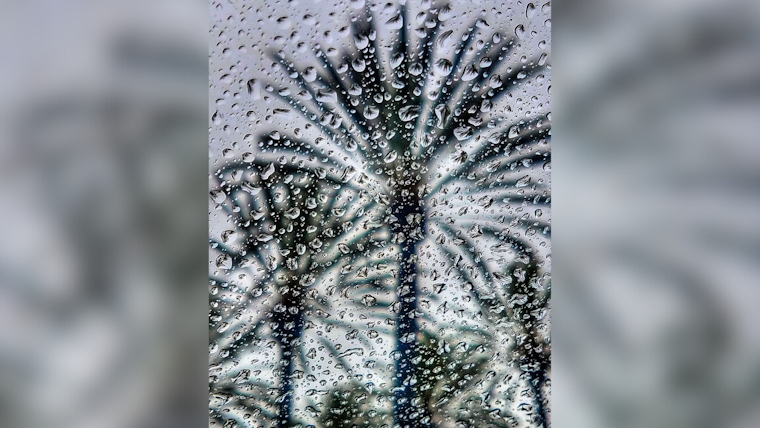 Drizzle Dampens Deals, San Diego Shoppers Meet Black Friday Rain with Shrug