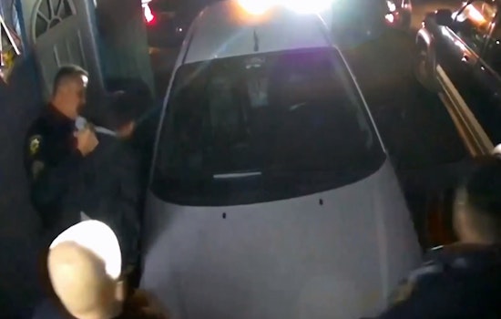 Ex-Palo Alto Cop Pleads Guilty to Assaulting Handcuffed Arrestee, Sentenced to Community Service & Sensitivity Training