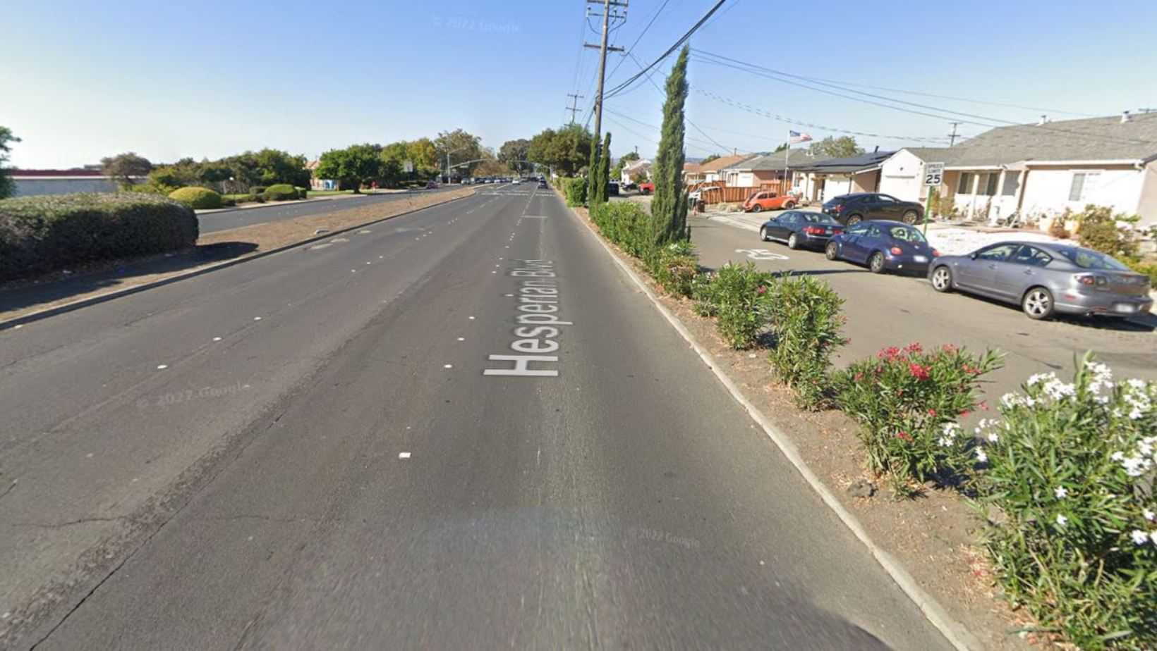 Fatal Hit-and-Run in Hayward Area, Mustang Driver Apprehended and