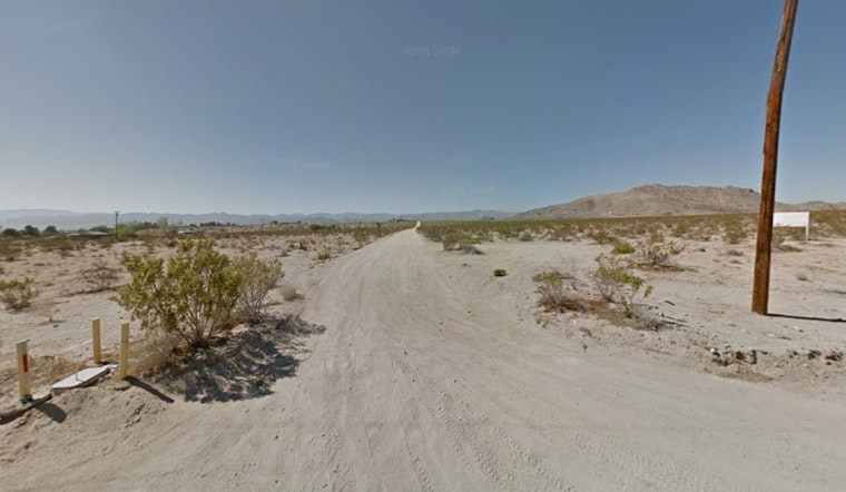 Felon Busted in Joshua Tree, Seizure of 14 Firearms Raises Questions on Legal Framework and Criminal Justice System
