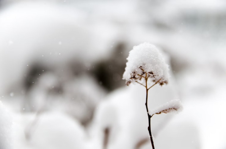 First Snow Showers Hit Massachusetts