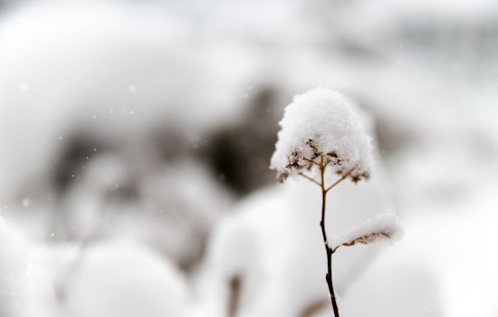 First Snow Showers Hit Massachusetts