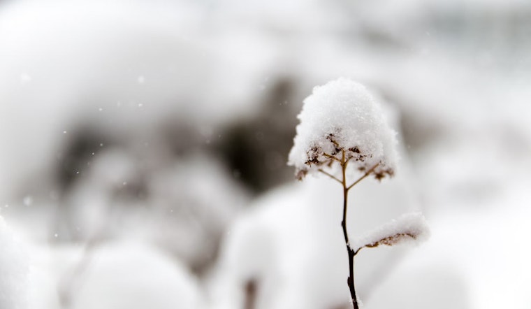 First Snow Showers Hit Massachusetts