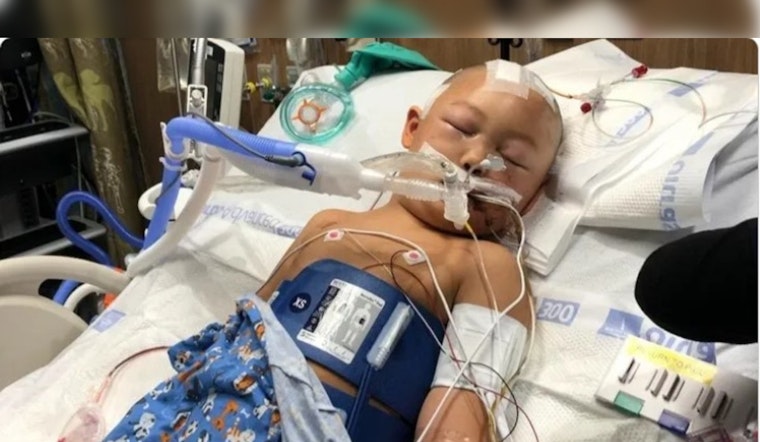 Georgetown Mourns Loss of 6-Year-Old Attack Victim as Alleged Assailant Awaits Updated Charges