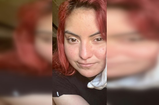 Harris County Heats Up Search for Missing Medication-Dependent Woman
