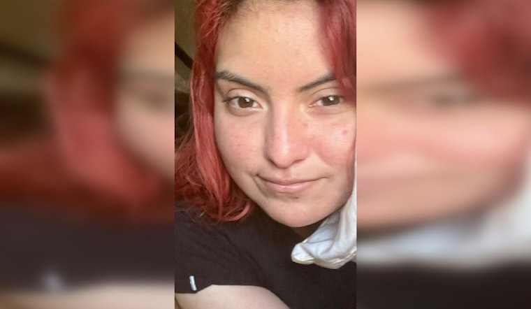 Harris County Heats Up Search for Missing Medication-Dependent Woman