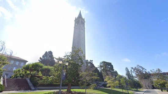 Harvard and UC Berkeley's Mind-Expanding Mission, Pioneering Psychedelics' Influence on Society with Million-Dollar Trust