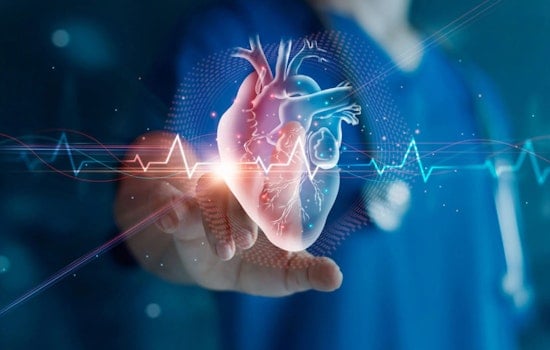 Middle-Aged Americans' Cardio Woes Linked to Income Inequality, Harvard Study Reveals