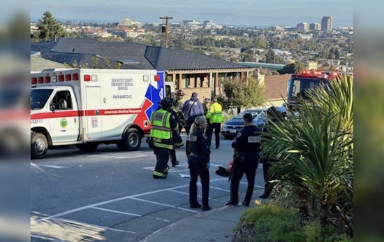 Man Accused of Injuring Pedestrian, Killing Dog in San Mateo Hit-and-Run Horror