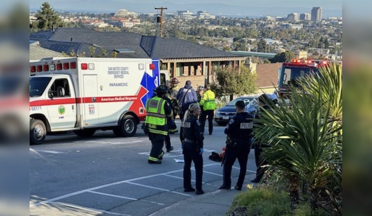 Man Accused of Injuring Pedestrian, Killing Dog in San Mateo Hit-and-Run Horror