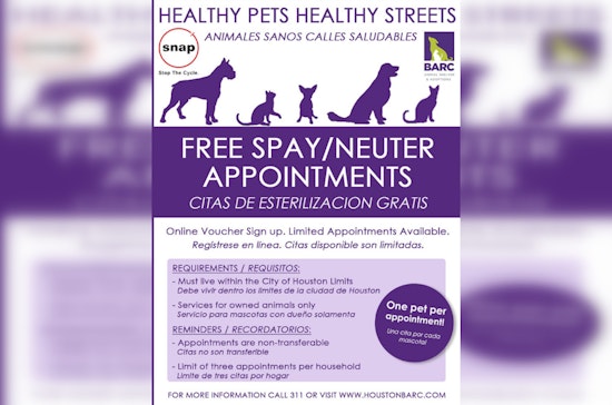 Houston Council Unleashes Nearly $1M for Stray Spay-Neuter Crusade