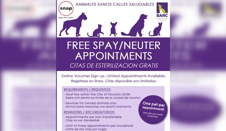 Houston Council Unleashes Nearly $1M for Stray Spay-Neuter Crusade