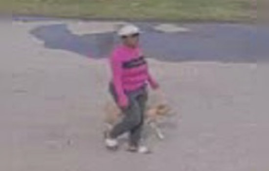 Humble, Texas Town on Edge as Authorities Hunt Woman Accused of Canine Cruelty