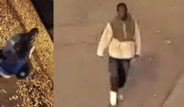 Hunt for Suspect in West Town Sexual Assault Goes Citywide