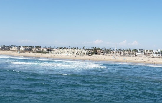 Huntington Beach Shark Scare Prompts Sunset Beach Closure