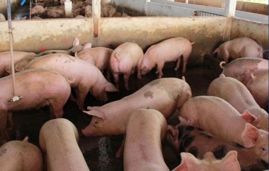 Illinois Agriculture Department and University of Illinois Extension Launch Certified Livestock Manager Training for Sustainable Farming