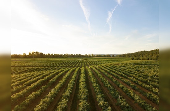 Illinois Farmers Set to Reap Rewards of Going Green as "Fall Covers for Spring Savings" Returns
