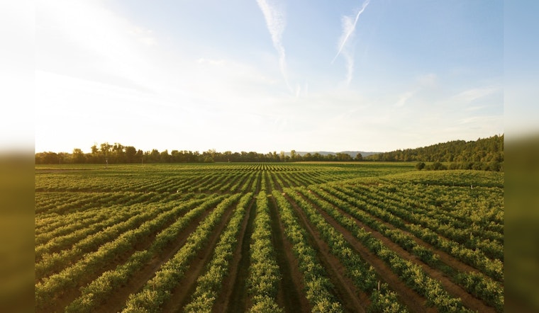 Illinois Farmers Set to Reap Rewards of Going Green as "Fall Covers for Spring Savings" Returns
