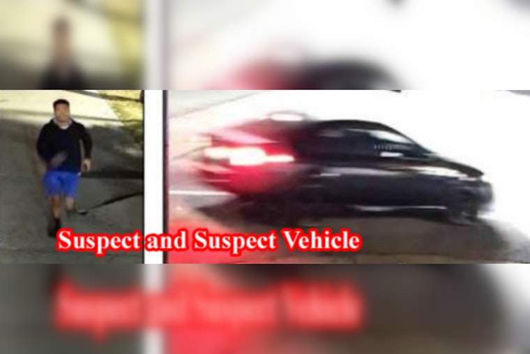  In an LA hit-and-run, the driver flees, leaving an injured pedestrian in the wake