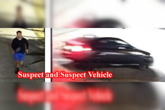  In an LA hit-and-run, the driver flees, leaving an injured pedestrian in the wake