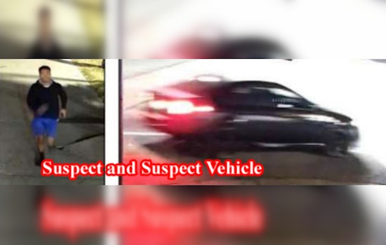 In an LA hit-and-run, the driver flees, leaving an injured pedestrian in the wake