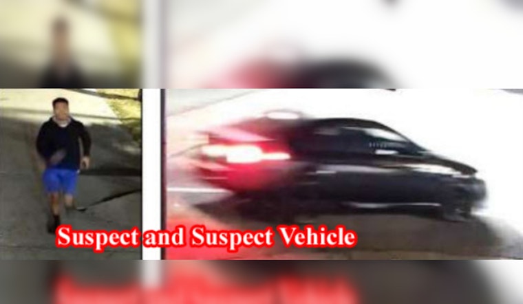 In an LA hit-and-run, the driver flees, leaving an injured pedestrian in the wake