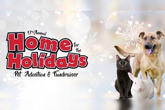 Irvine Warms Hearts this Winter, 17th Annual Home for the Holidays Pet Adoption Fair Takes Center Stage
