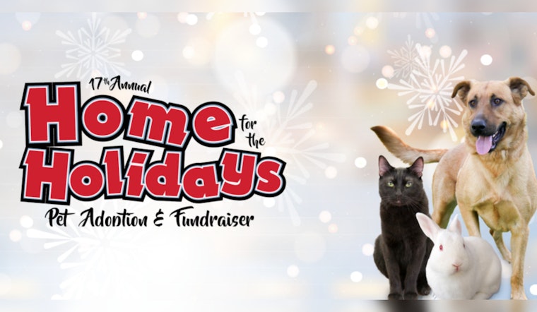 Irvine Warms Hearts this Winter, 17th Annual Home for the Holidays Pet Adoption Fair Takes Center Stage