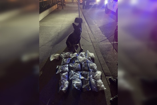 LAPD is Actively Involved in Tackling Meth-Related Issues, with 21 Pounds Seized and Children Rescued in a Significant Drug Bust