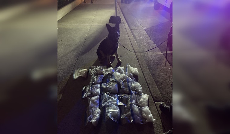 LAPD is Actively Involved in Tackling Meth-Related Issues, with 21 Pounds Seized and Children Rescued in a Significant Drug Bust