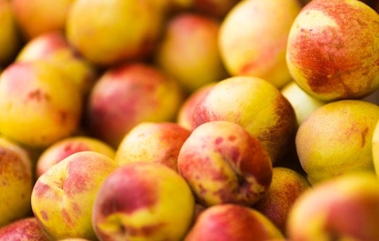 Listeria Outbreak in Illinois and Six Other States Linked to Peaches, Plums, and Nectarines from HMC Farms