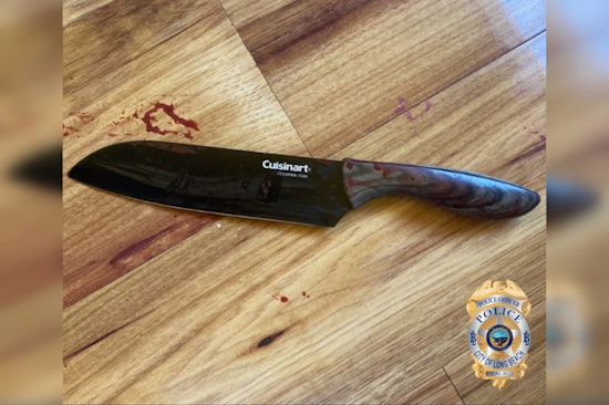 Long Beach Police Issue Statement on Officer-Involved Shooting Following Alleged Stabbing by Eriberto Penaloza's Mother