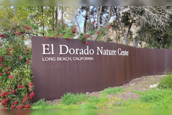 Long Beach's El Dorado Nature Center Hosts California Native Plant Sale, November 7-21