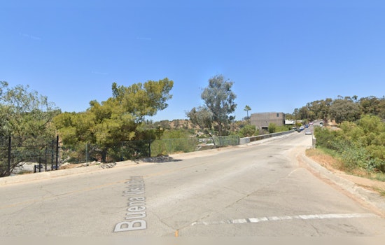 Los Angeles Firefighters Swiftly Subdue Elysian Park Brush Fire