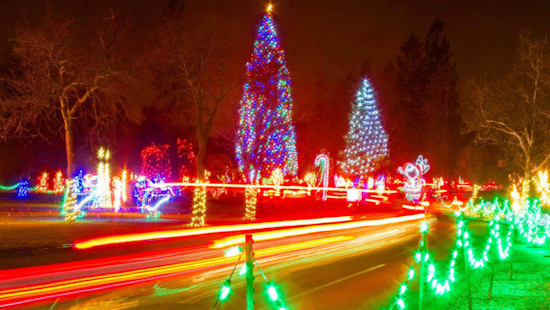 Los Gatos Shines Bright, Santa Clara County Preps for 25th Fantasy of Lights Anniversary