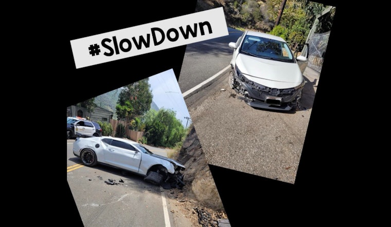 Malibu's Menace: Speeding Spirals into Tragedy on Serpentine Stretches, #SlowDown Campaign Amps Up