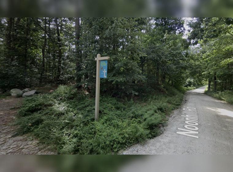 Medfield Man and Dog Narrowly Escape Owl Attack
