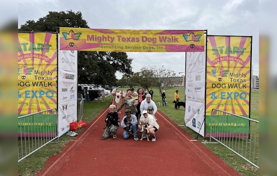 Mighty Texas Dog Walk Struts for Service Pups