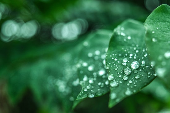 MIT Researchers Discover Light Accelerates Water Evaporation