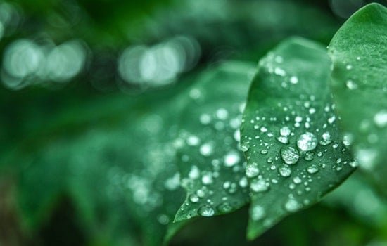 MIT Researchers Discover Light Accelerates Water Evaporation