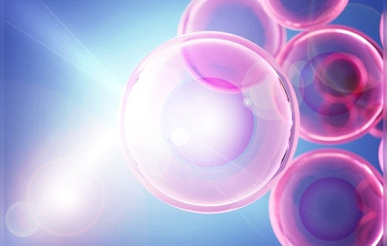 MIT's Molecular Maestros, New Fluorescent Labeling Technique Shines Light on Cellular Secrets