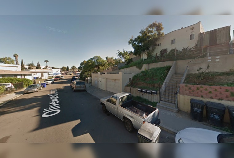 Seven Saved, Pets Pounce to Safety as San Diego Firefighters Douse $220K Blaze in Mountain View