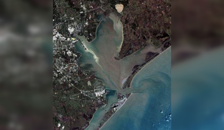 Oyster Overboard! Galveston Bay Clamps Down on Harvesting as Bivalve Counts Plunge