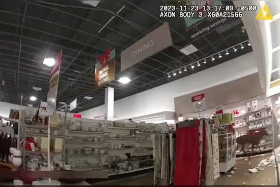 Bambi Bungles Rockland Boutique: Deer Smashes, Dashes Through Maine Storefront