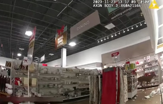 Bambi Bungles Rockland Boutique: Deer Smashes, Dashes Through Maine Storefront